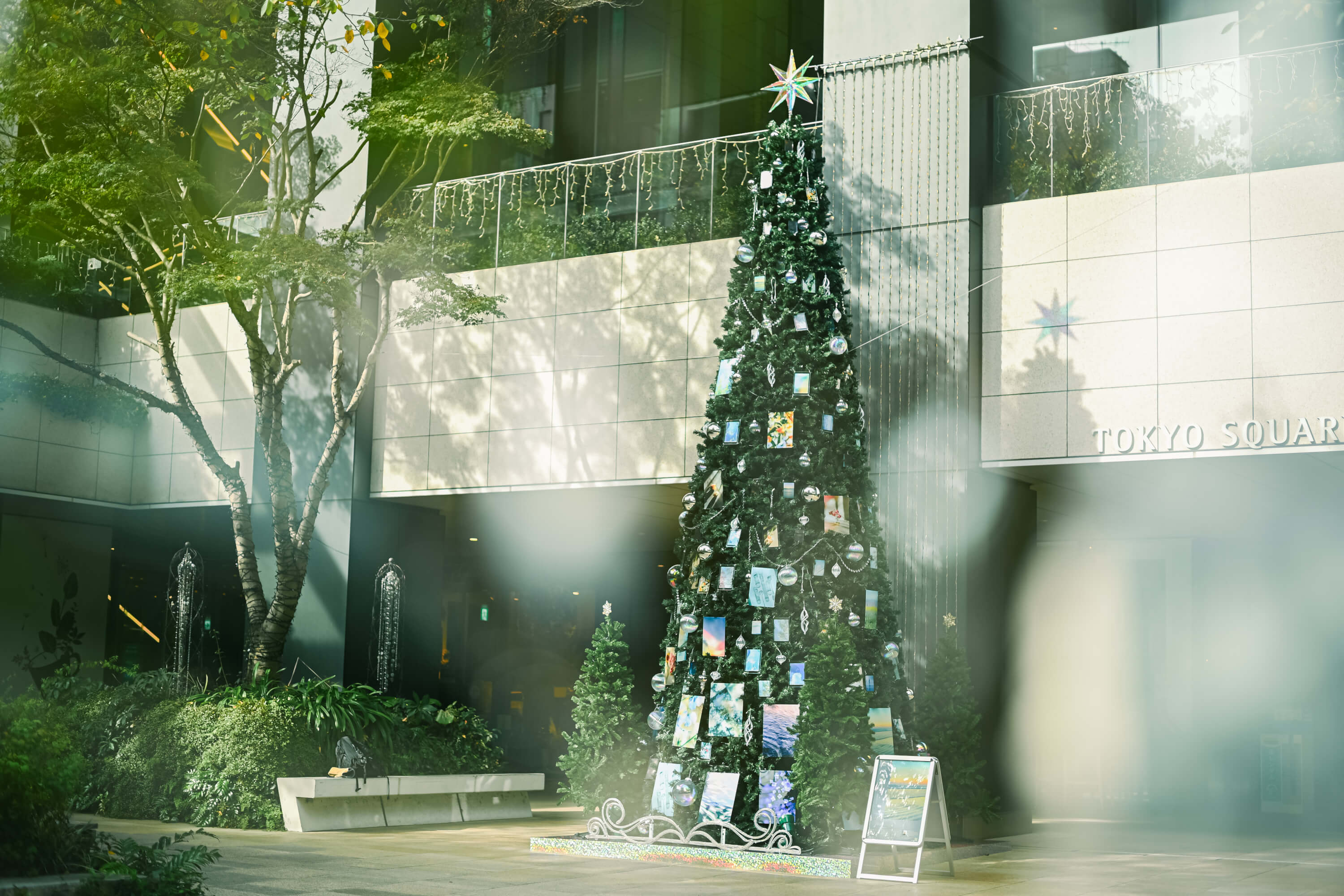 東京スクエアガーデン｜国分真央｜有限会社三幸（TOKYO ACRYL）｜2025 東京スクエアガーデン ウィンターイルミネーション「When Silence Becomes Light　光とつなぐ、透明のとき」