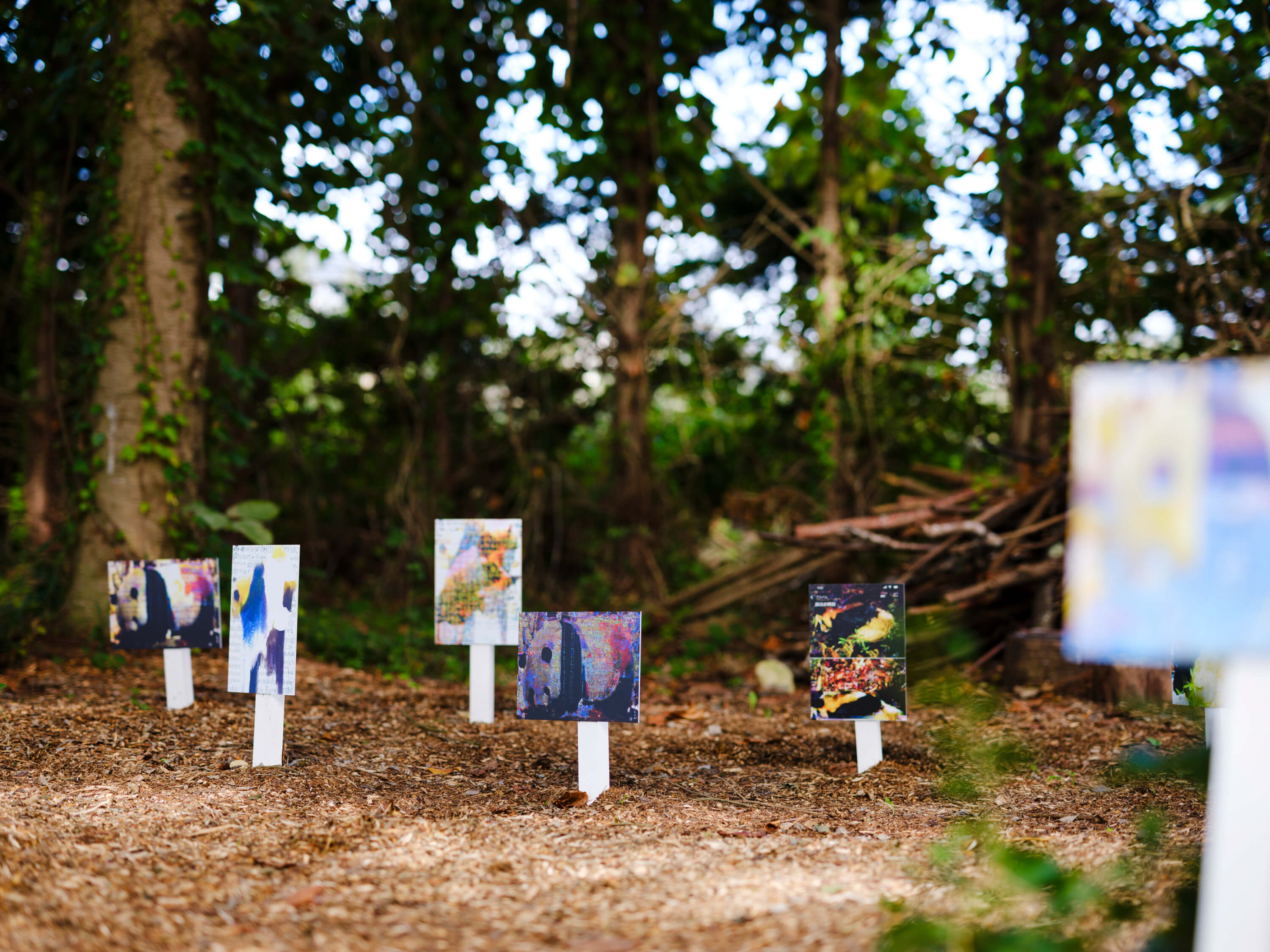 小林 健太｜松井祐生（関川卓哉）｜浅間国際フォトフェスティバル2025 PHOTO MIYOTA