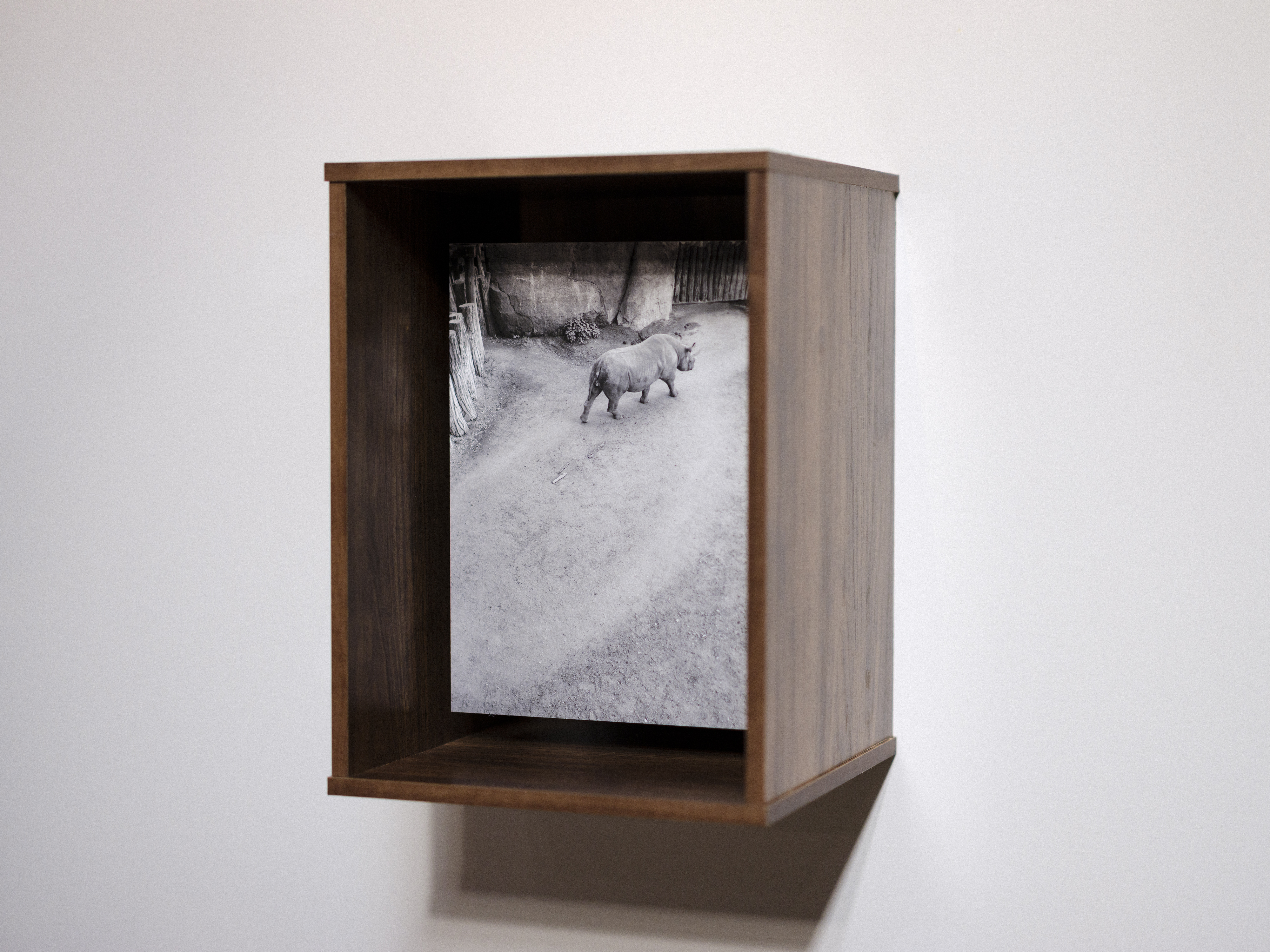 小原一真｜富安隼久｜浅間国際フォトフェスティバル2025 PHOTO MIYOTA