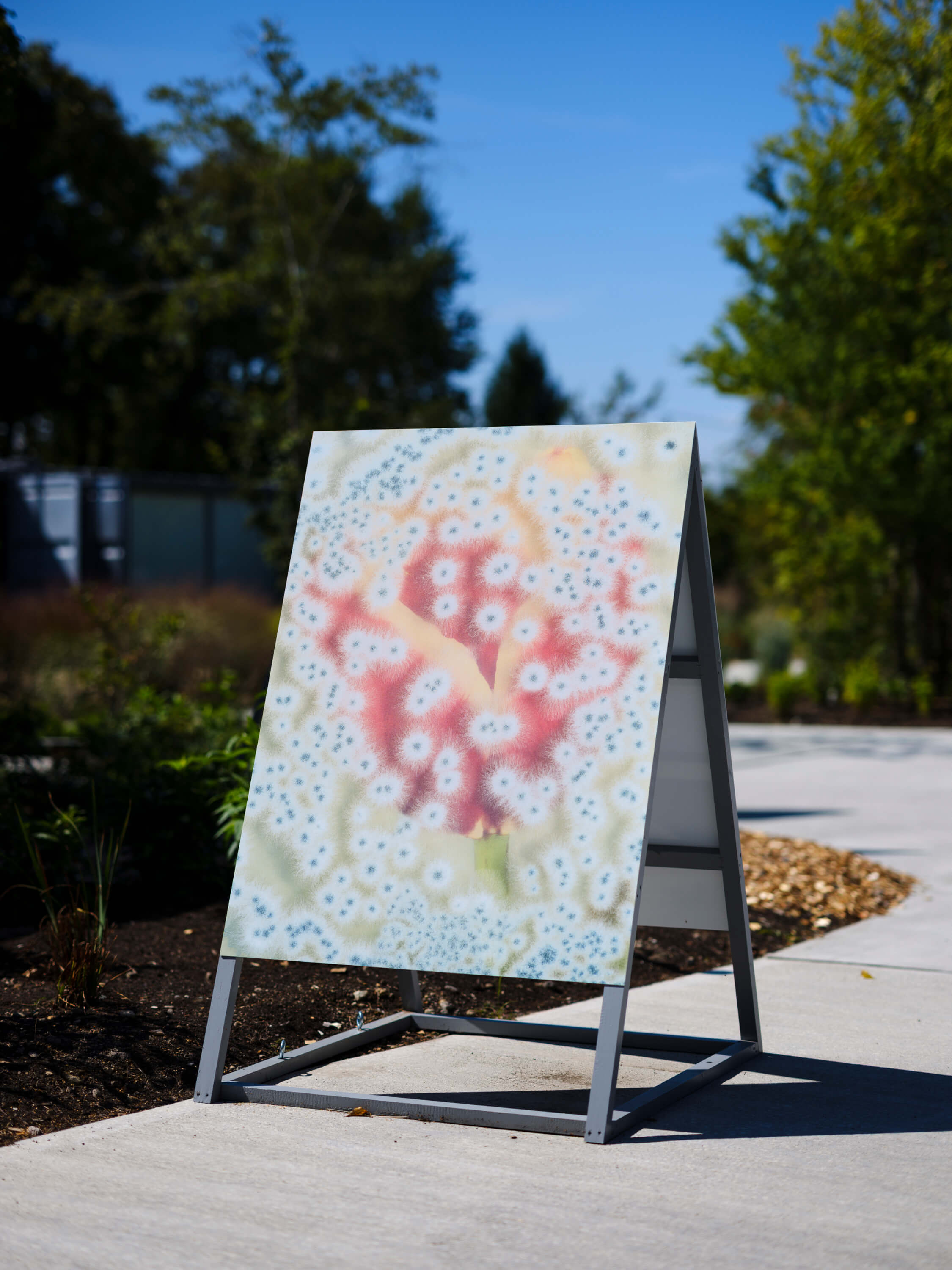 ロンフイ・チェン｜マレン・ジェレフ/クラウス・ピヒラー｜浅間国際フォトフェスティバル2025 PHOTO MIYOTA