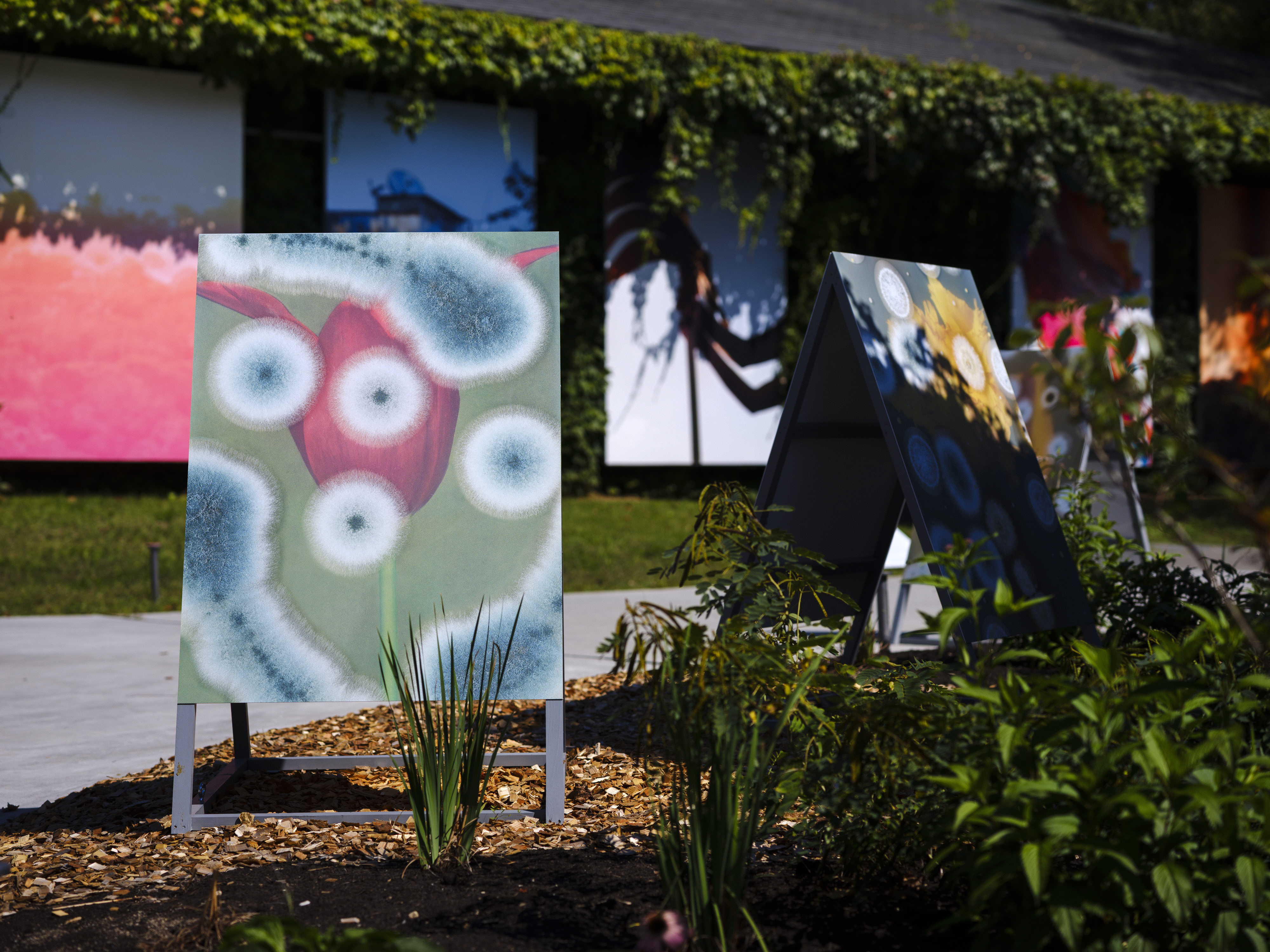 ロンフイ・チェン｜マレン・ジェレフ/クラウス・ピヒラー｜浅間国際フォトフェスティバル2025 PHOTO MIYOTA