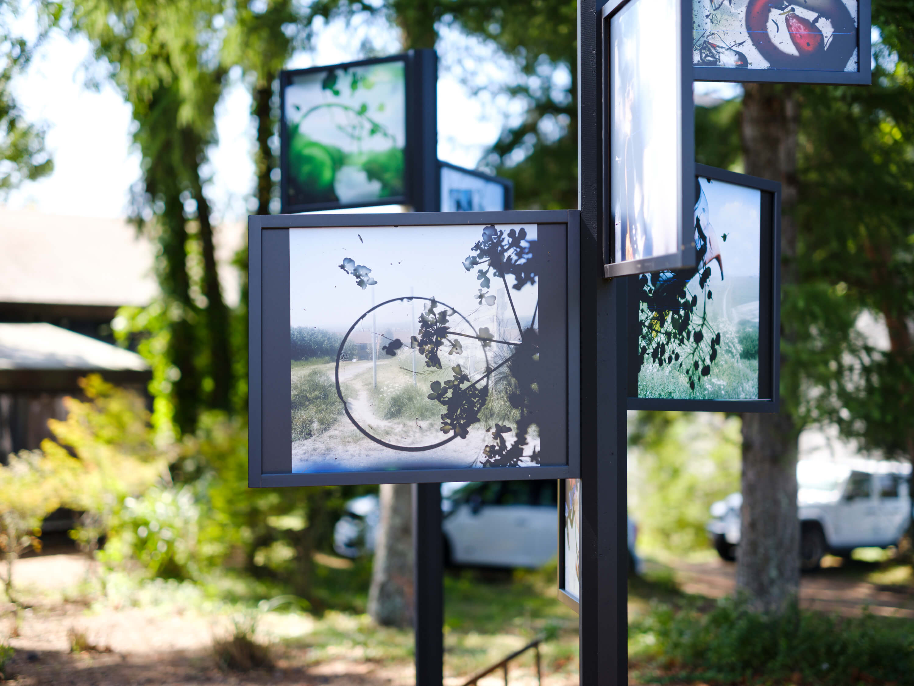 小山一成｜スティーブン・ギル｜浅間国際フォトフェスティバル2025 PHOTO MIYOTA