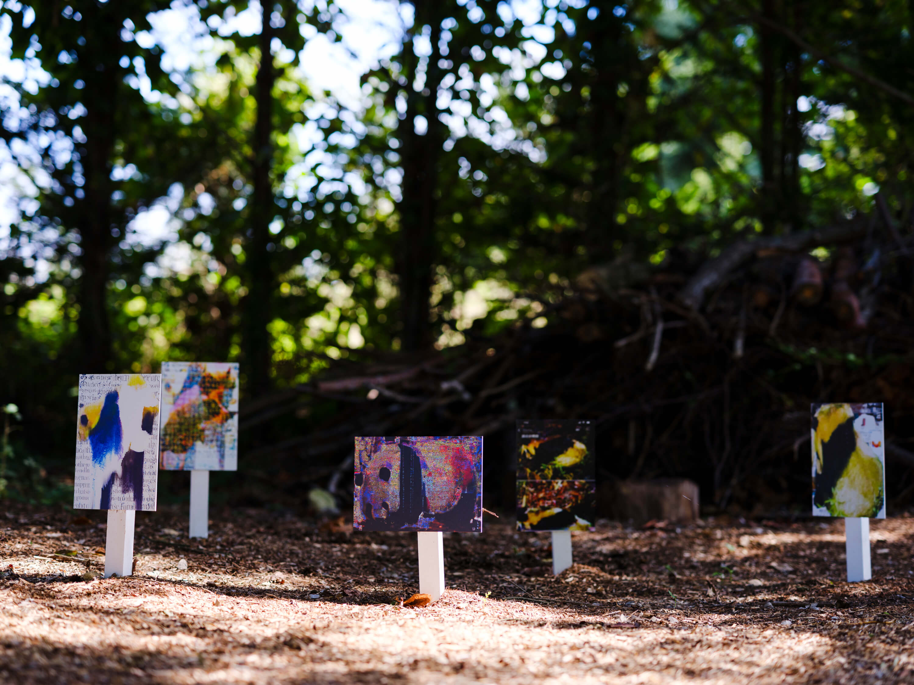 小林 健太｜松井祐生（関川卓哉）｜浅間国際フォトフェスティバル2025 PHOTO MIYOTA