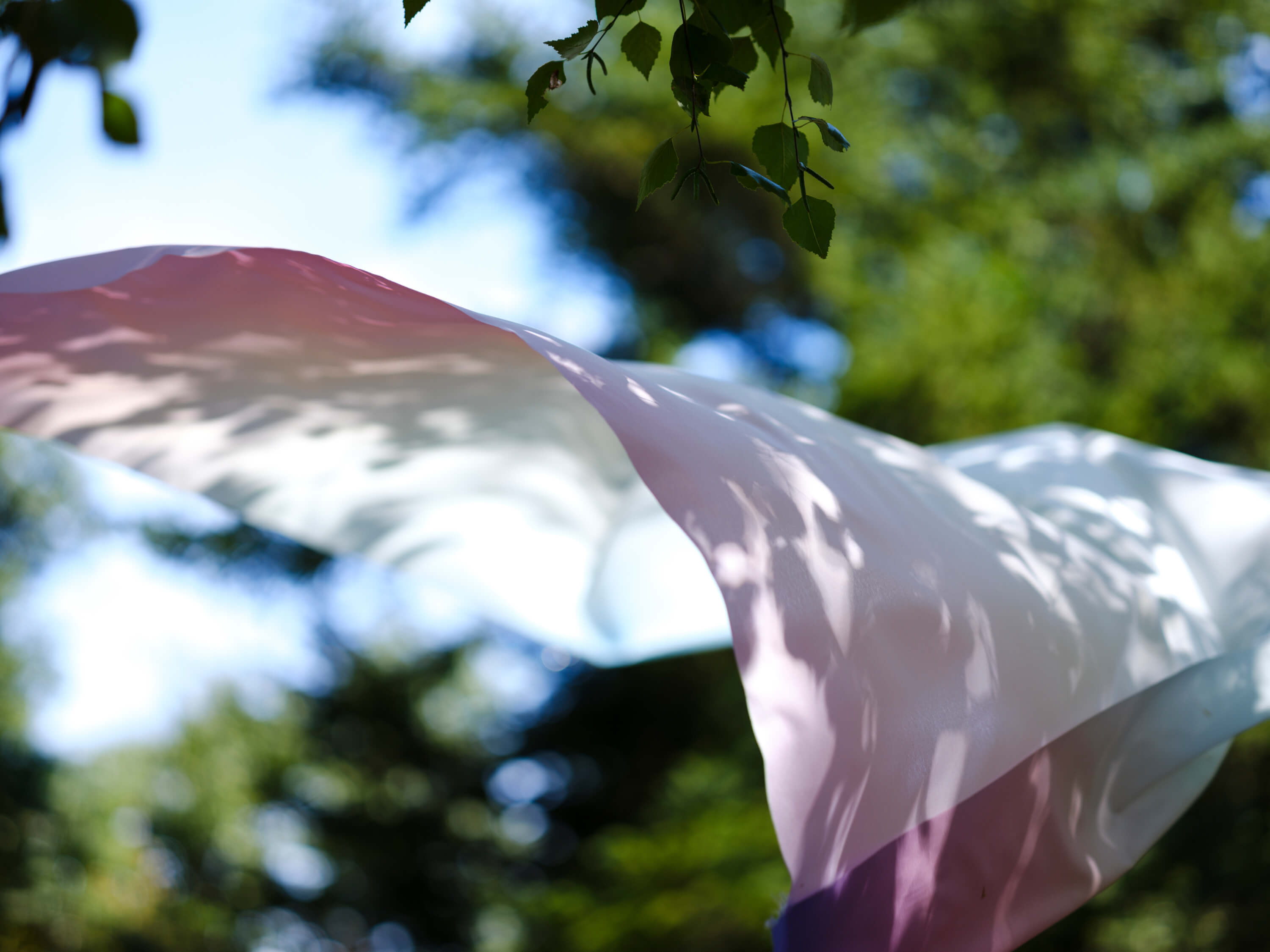 ロール・ウィナンツ｜小山泰介｜浅間国際フォトフェスティバル2025 PHOTO MIYOTA