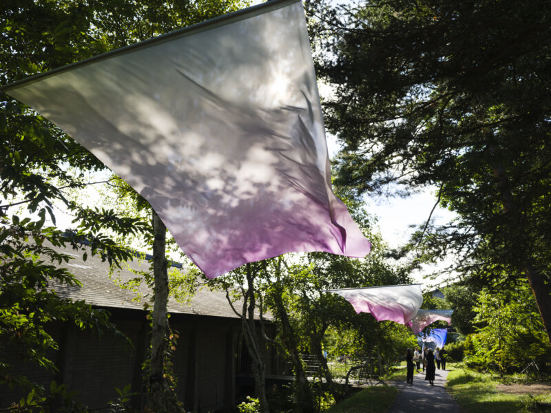 ロール・ウィナンツ|小山泰介|浅間国際フォトフェスティバル2025 PHOTO MIYOTA