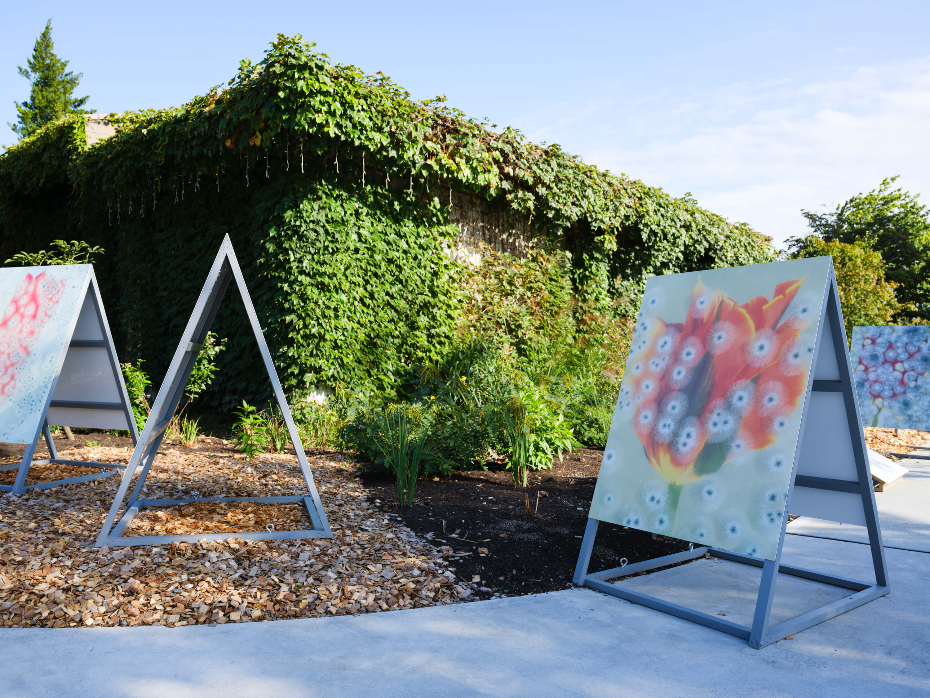 ロンフイ・チェン｜マレン・ジェレフ/クラウス・ピヒラー｜浅間国際フォトフェスティバル2025 PHOTO MIYOTA