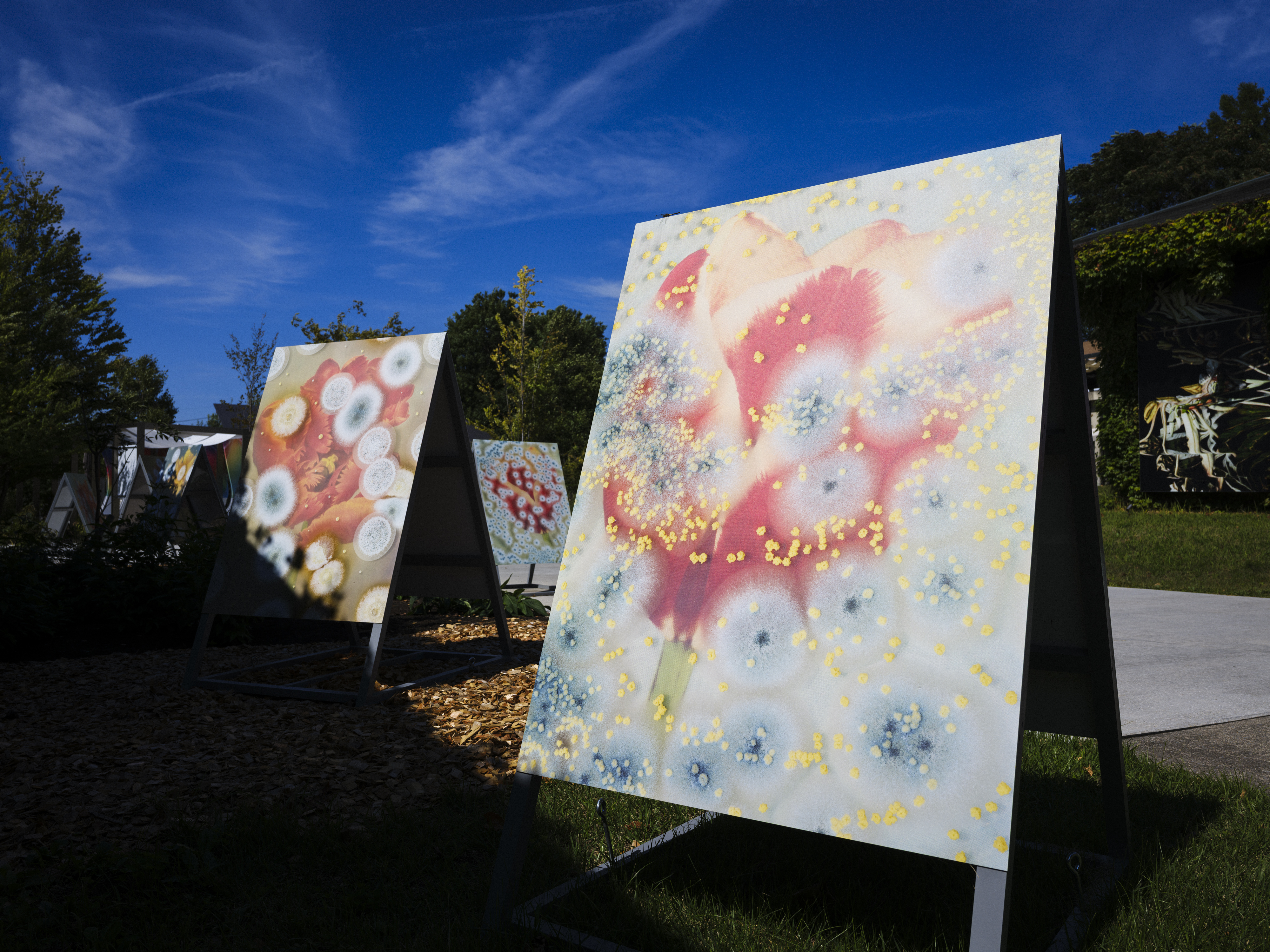 ロンフイ・チェン｜マレン・ジェレフ/クラウス・ピヒラー｜浅間国際フォトフェスティバル2025 PHOTO MIYOTA