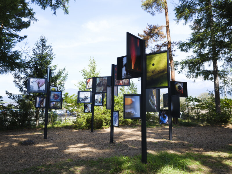 小山一成|スティーブン・ギル|浅間国際フォトフェスティバル2025 PHOTO MIYOTA